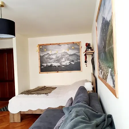 Izba W Centrum Daire Zakopane